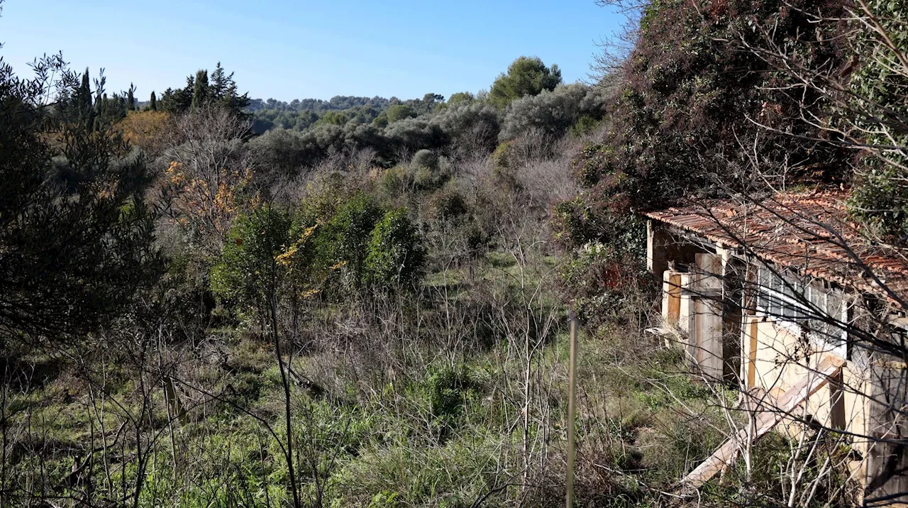 Marseille : la Ville veut récupérer 12 hectares de terrain pour y porter un projet agricole durable