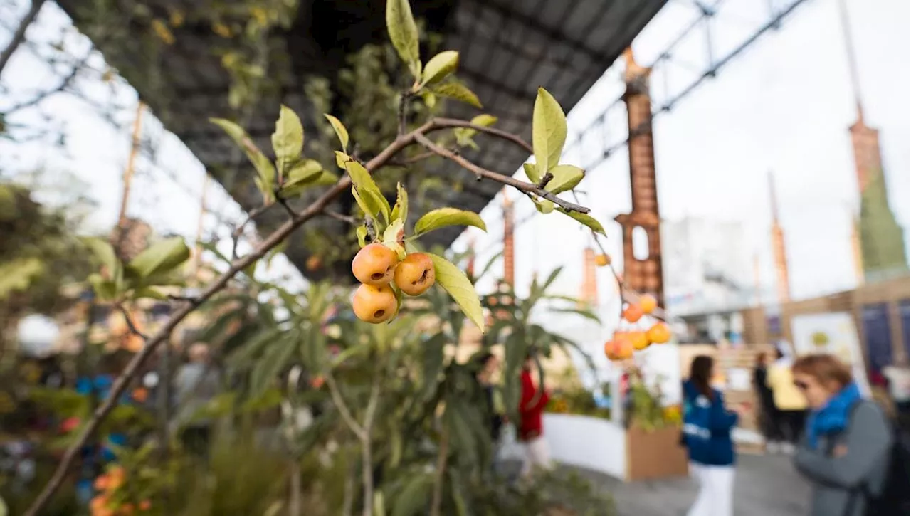 L'agricoltura industriale avvelena il pianeta: allarme biodinamico al Salone del Gusto