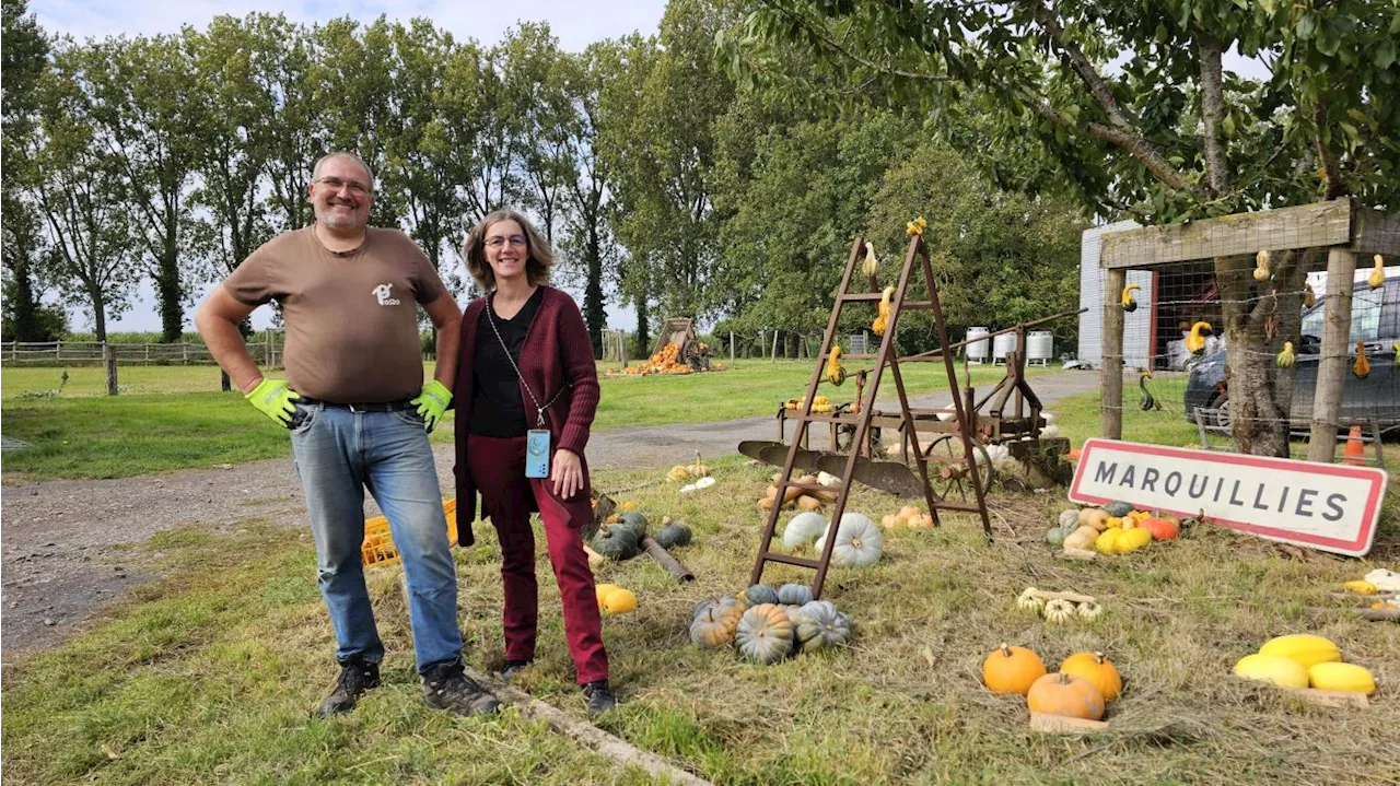 Trois raisons de participer à la fête de la Citrouille à Marquillies ce week-end