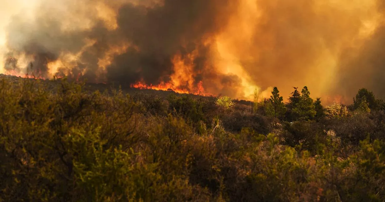 Incendios en Córdoba: continúa activo el foco en Quebrada La Mermela y hay algunos reinicios en Punilla