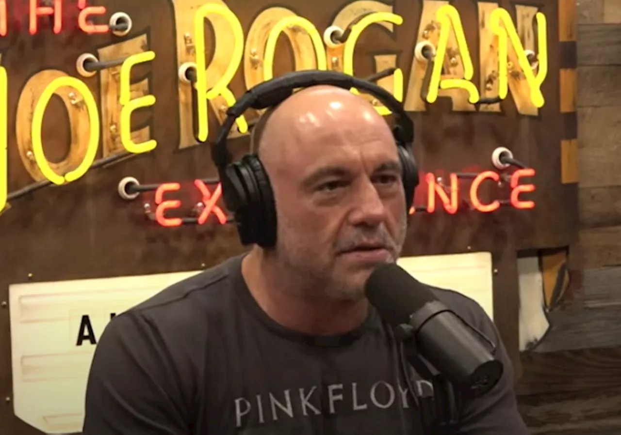 Joe Rogan Warns of 'Clamp Down' on Free Speech Under Harris Presidency