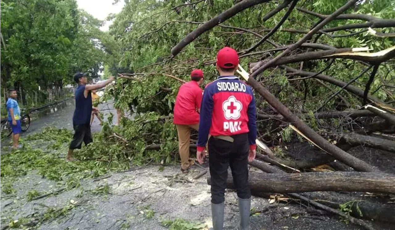 Masuki Pancaroba, BMGK Imbau Waspada Angin Puting Beliung