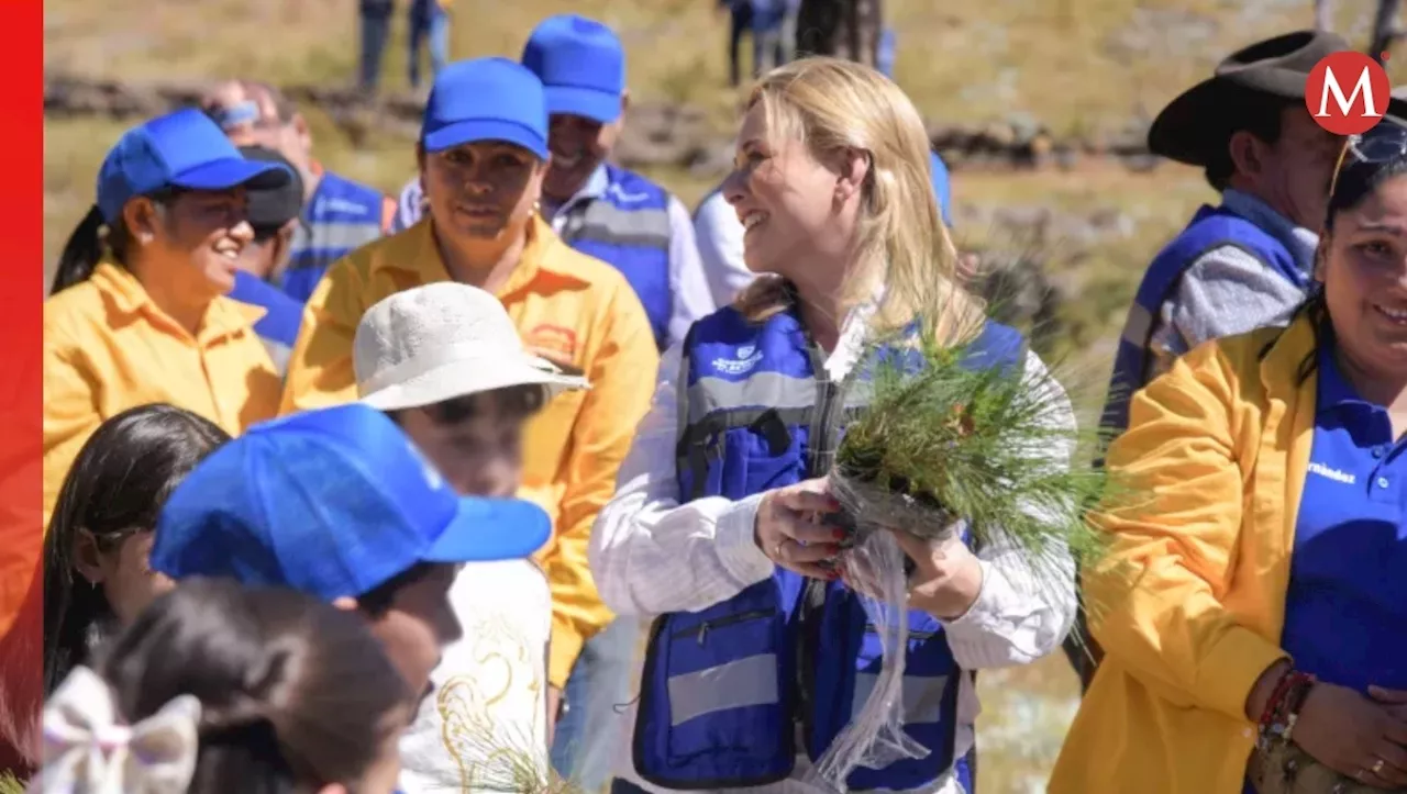 Maru Campos impulsa reforestación en beneficio de 10 mil habitantes de la Sierra Tarahumara