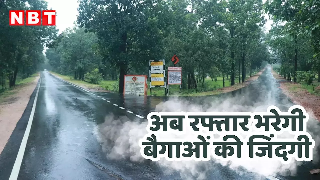 मध्य प्रदेश की वो तीन सड़कें, जो जोड़ रहीं 3000 दिल, जानें दूरियों को तोड़कर दिलों को जोड़ने वाली सड़कों की कहानी