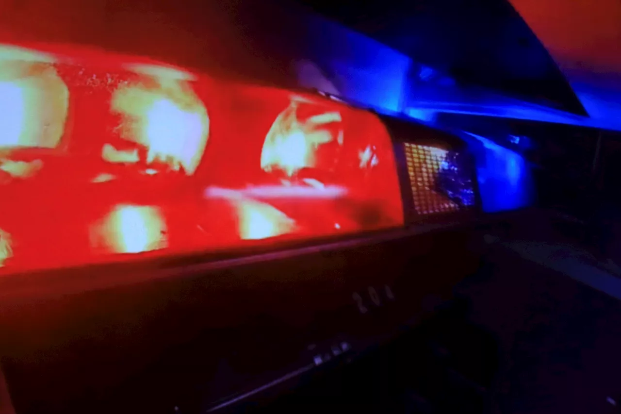 Driver hurt, passenger killed after crashing into tree in South Jersey: police