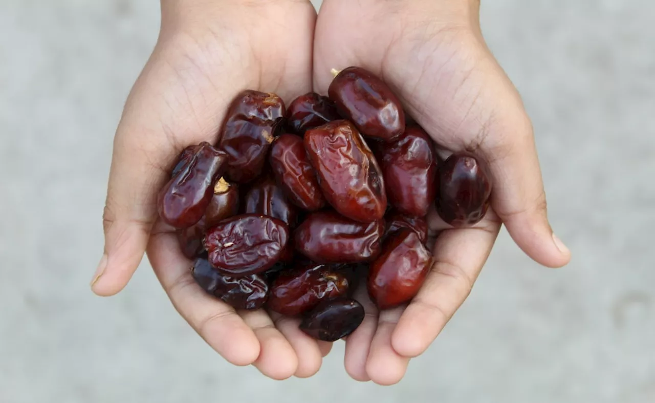 रोजाना खजूर खाने के फायदे | Benefits Of Eating Dates