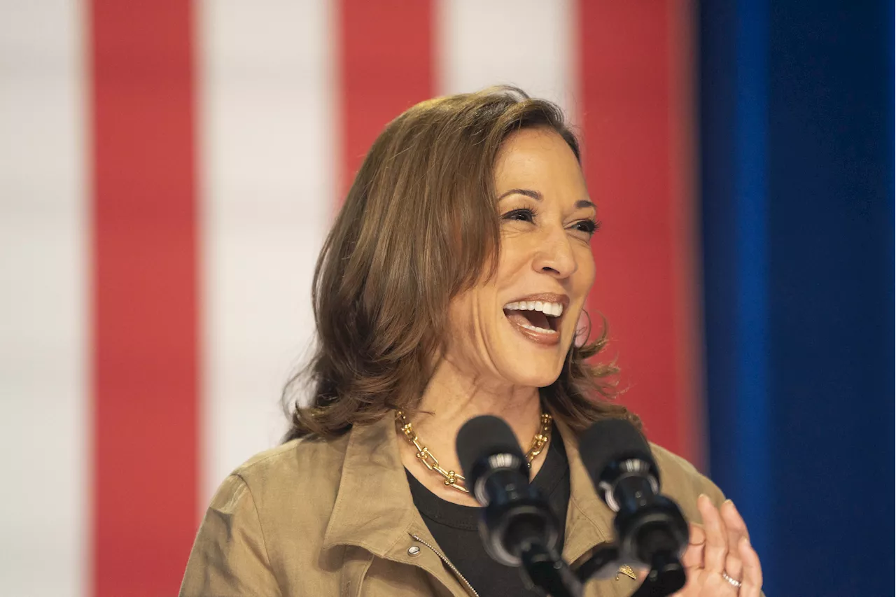 Kamala Harris Gaining Over Trump in Two Swing States: Fox News Polls