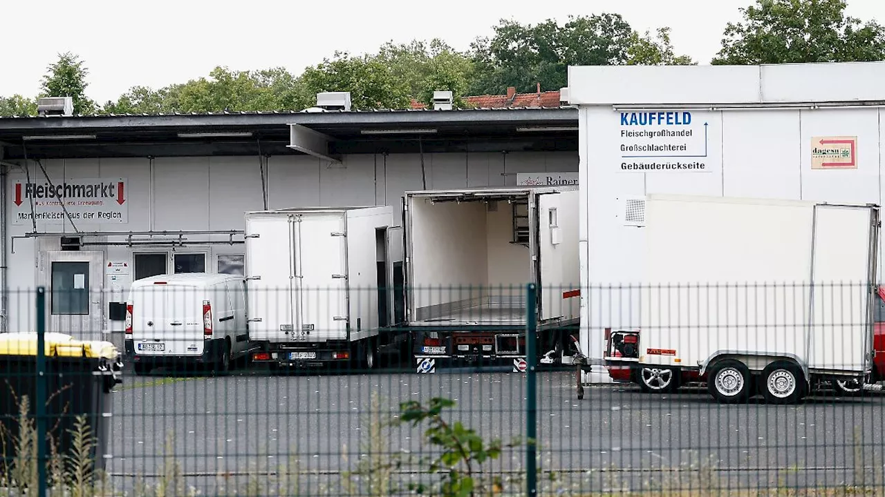 Bayern: Verstöße im Schlachthof - Tierärztinnen vor Gericht