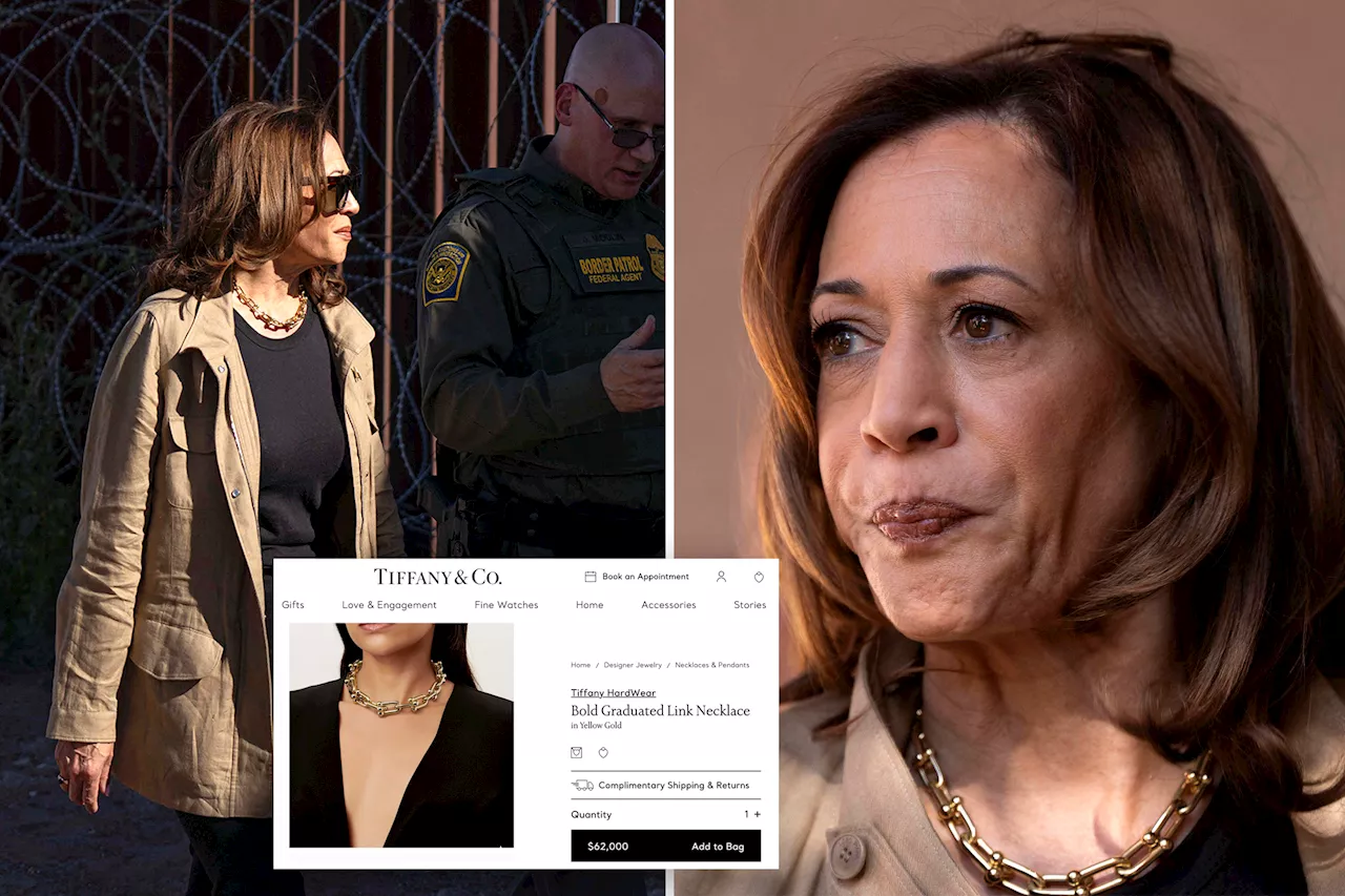 'Border czar' Kamala Harris panned for wearing reported $62K necklace to southern border: 'You look ridiculous'