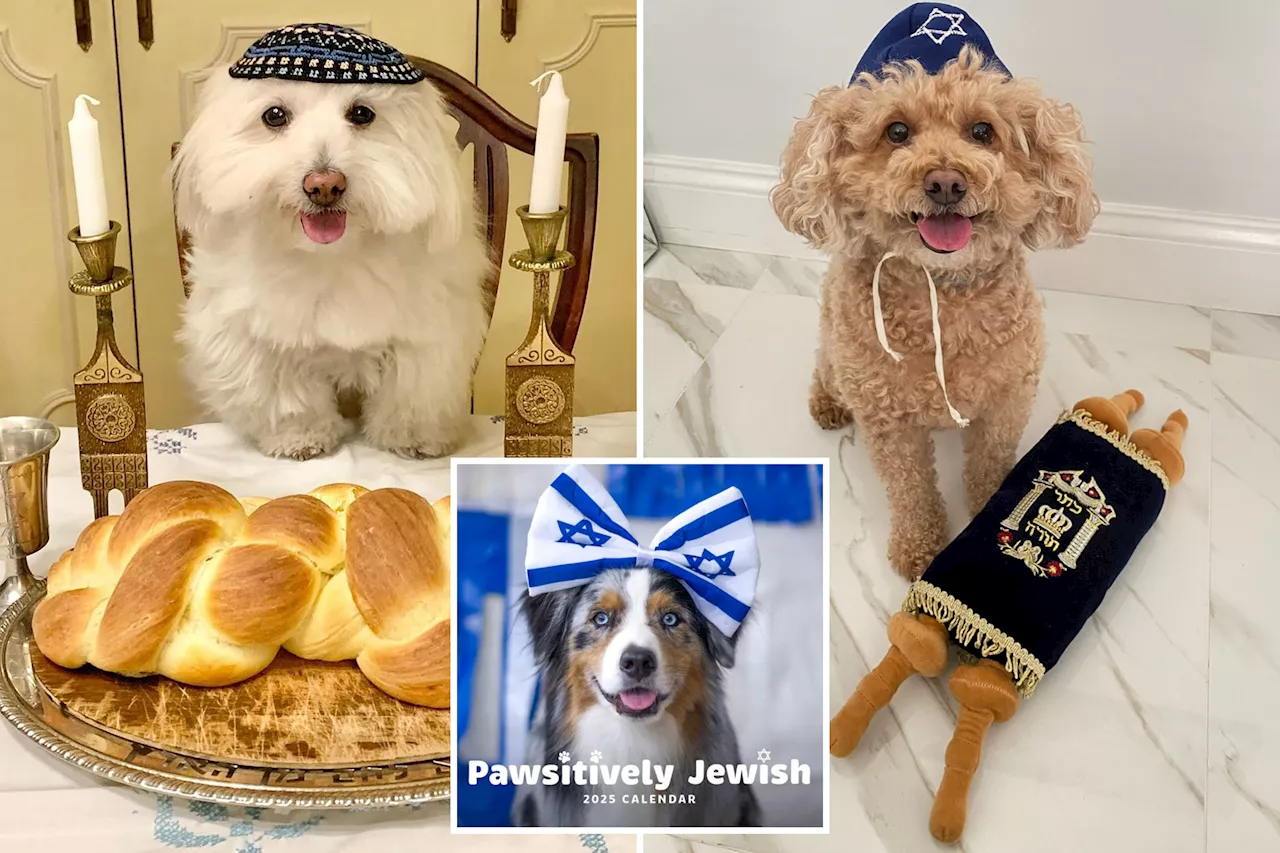  First-ever Pawsitively Jewish Calendar features Instagram-famous dogs in time for high holidays