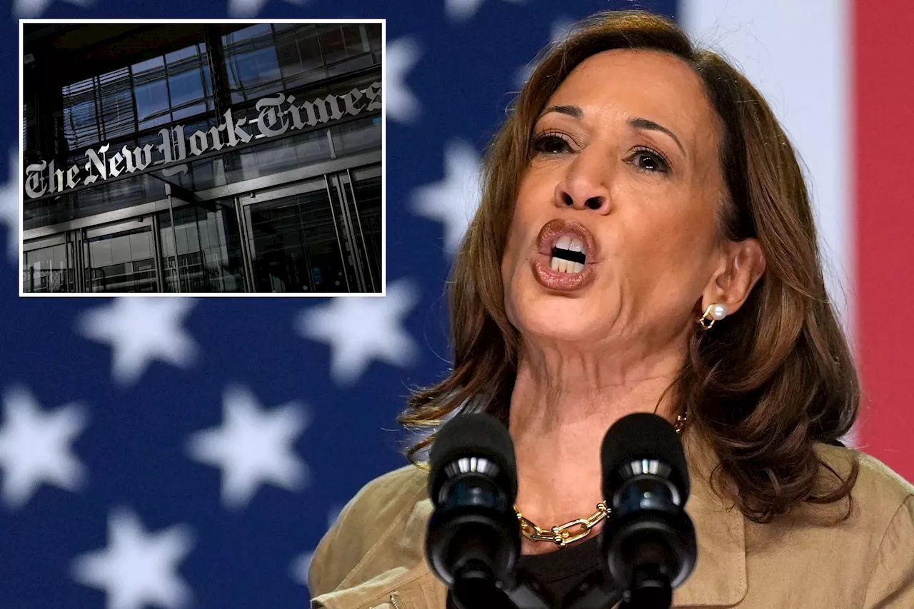 New York Times Report Rips Vice President Harris' 'Friendly' MSNBC Interview