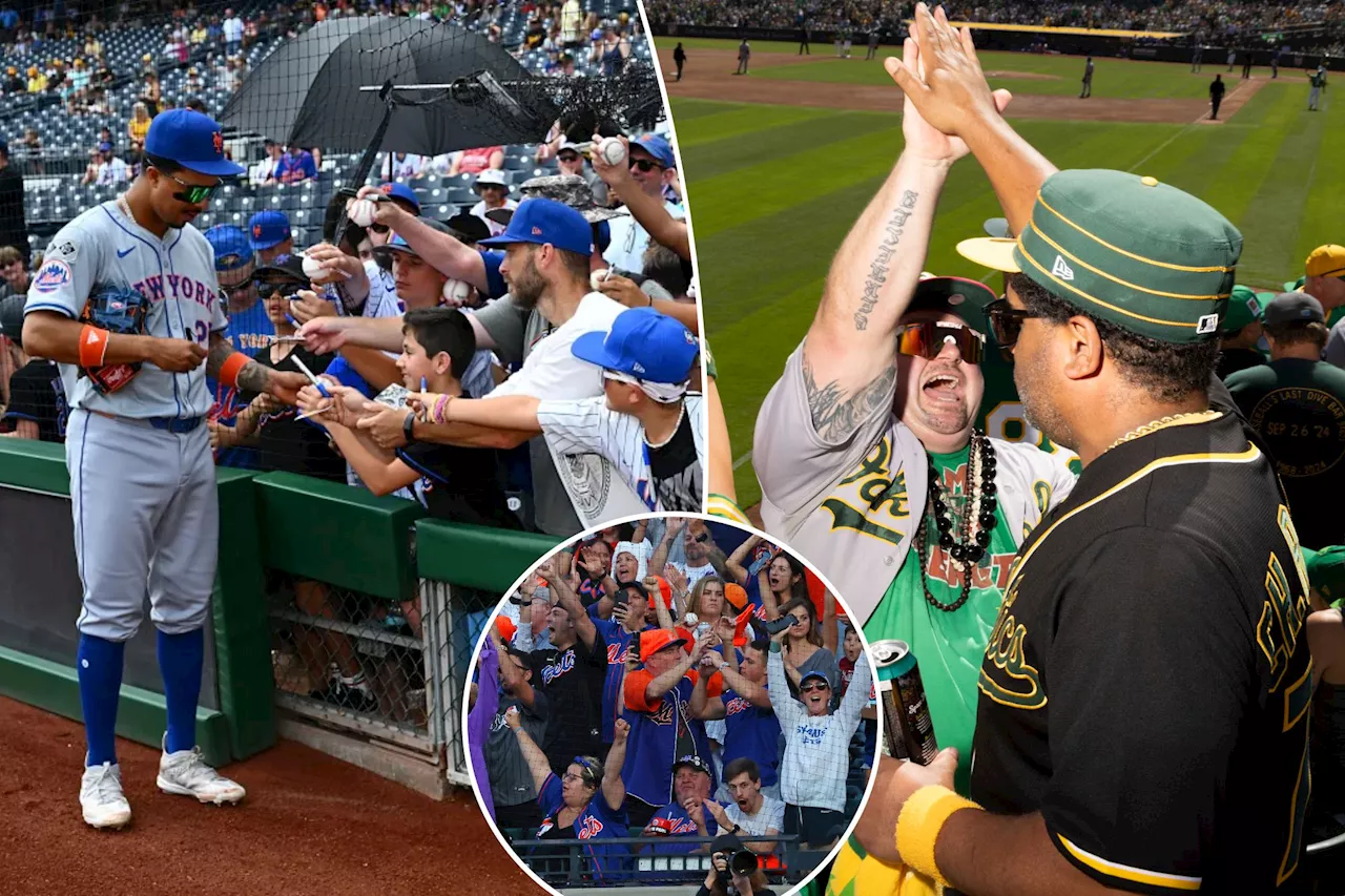 The Fanatical Nature Of Sports Fandom