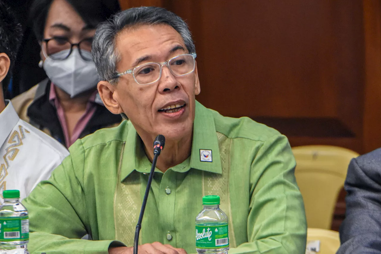 Akbayan names Chel Diokno as first nominee in 2025 reelection bid