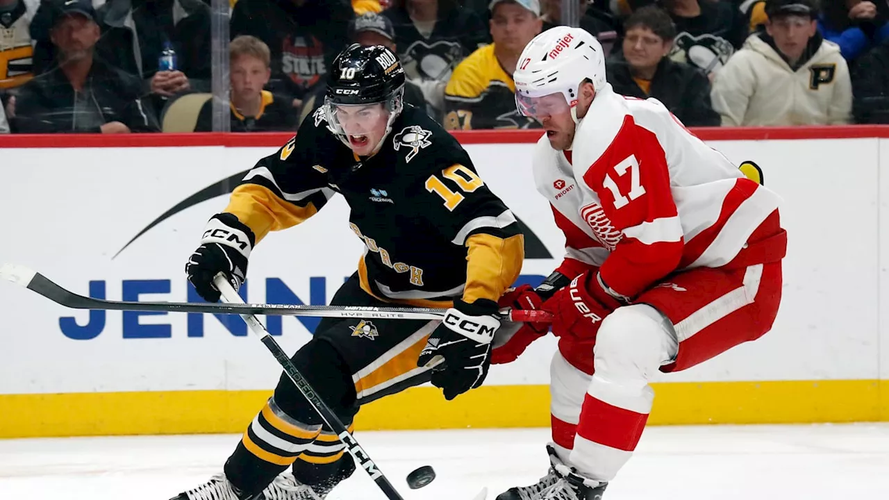 Pittsburgh Penguins vs Detroit Red Wings Game Delayed