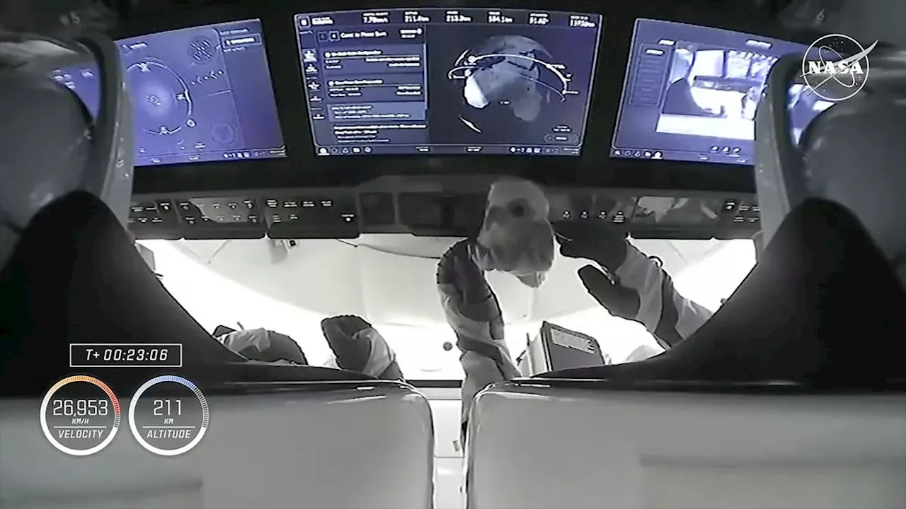 Baby Falcon Plush Toy Serves As Zero-G Indicator Aboard SpaceX's Dragon 'Freedom'