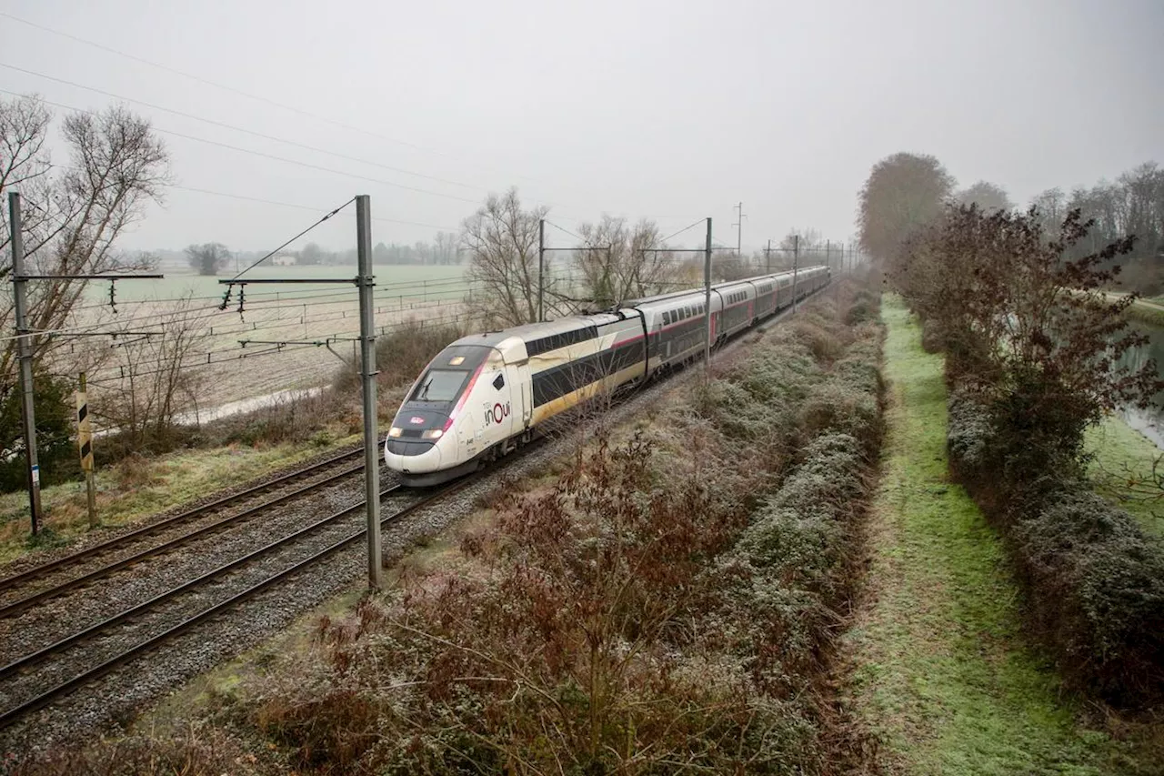 LGV Bordeaux-Toulouse-Dax : LGV Non merci et les Soulèvements de la Terre organisent un week-end de mobilisation en Gironde