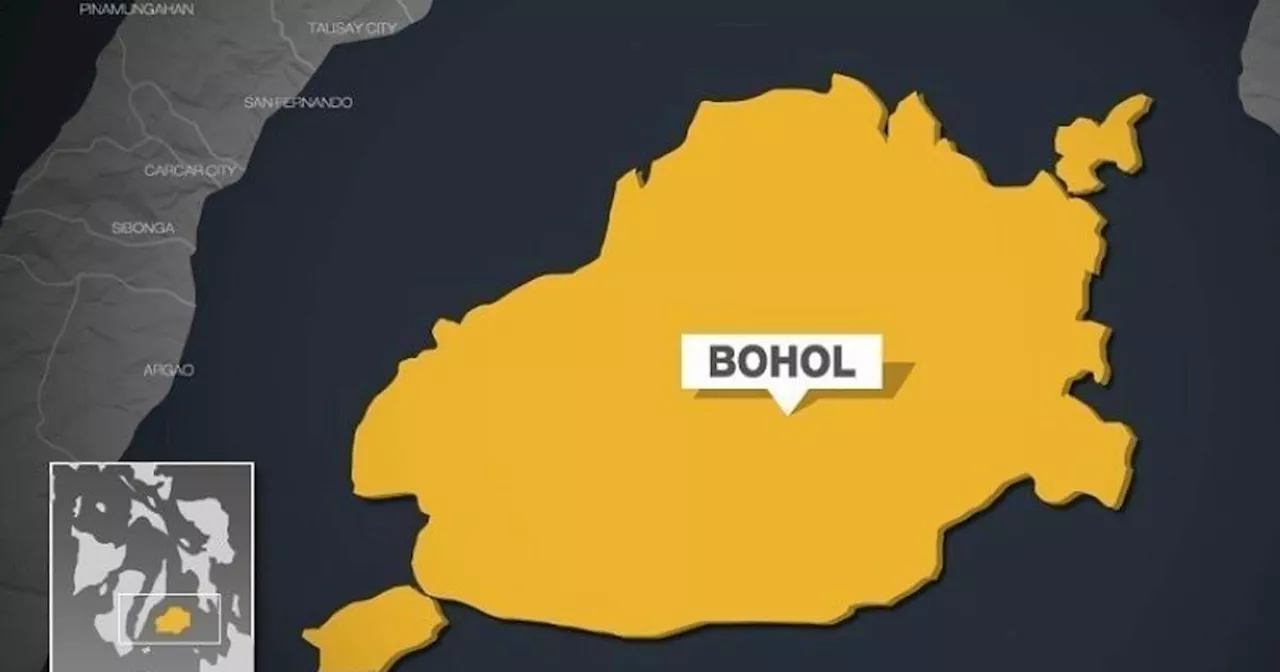 Man nabbed for raping mother in Bohol