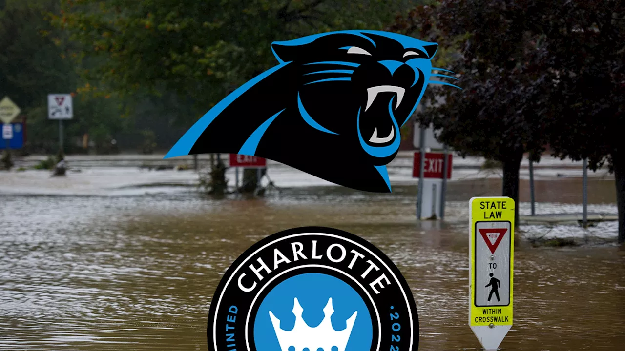 Carolina Panthers Owner David Tepper, Wife Donate $3 Million to Hurricane Helene Relief