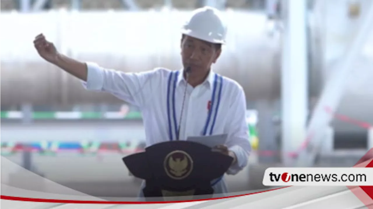 Biang Kerok Harga Beras Mahal Dibocorkan Presiden Jokowi