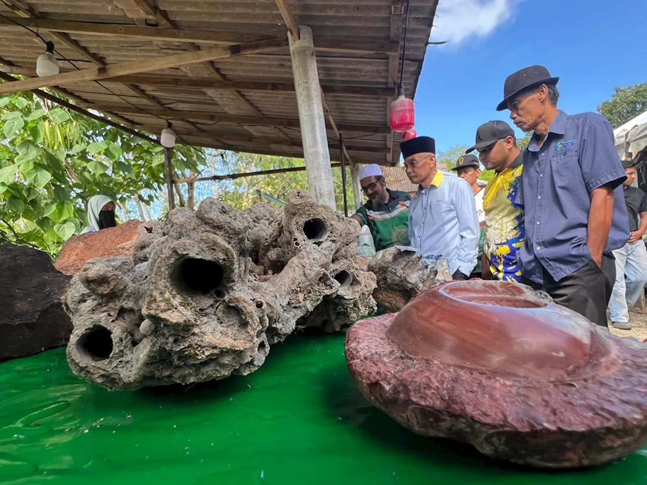 Taman Botanikal Perlis kumpul hampir 80 koleksi tanaman nadir