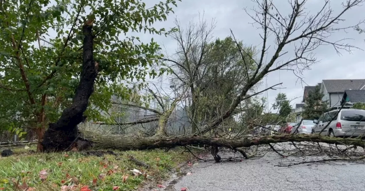 Hoosiers warned of storm clean-up scams as Hurricane Helene remnants pass through Indiana