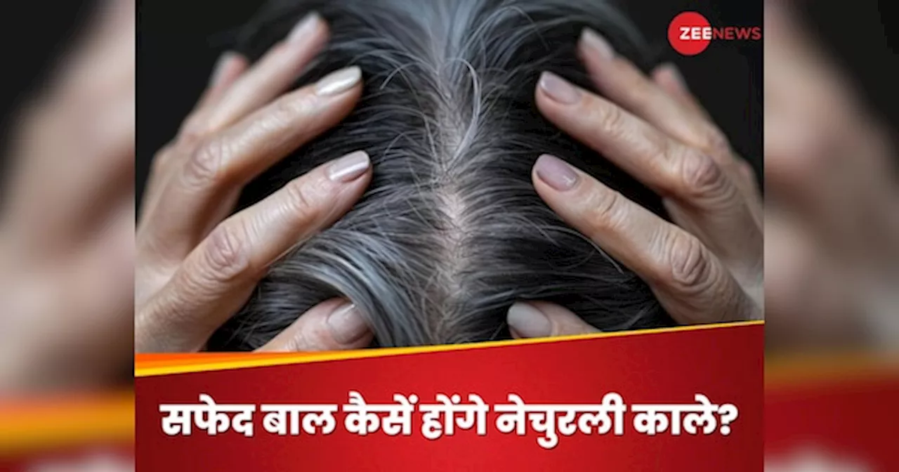 Omega-3 Fatty Acids से सफेद बालों में वापस आएगा कालापन, इन बीजों को खाकर दूर करें White Hair