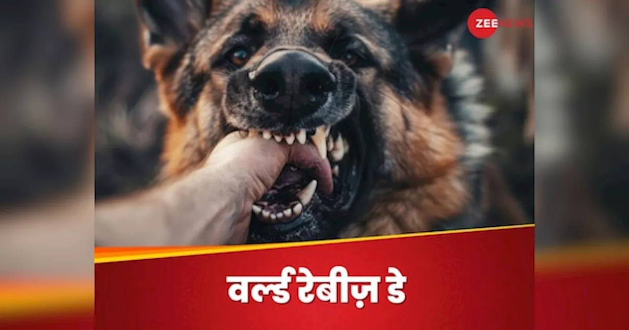 Rabies: कुत्ते के काटने से क्यों फैलता है रेबीज? जानिए खतरनाक वायरस से कैसे बच सकते हैं आप