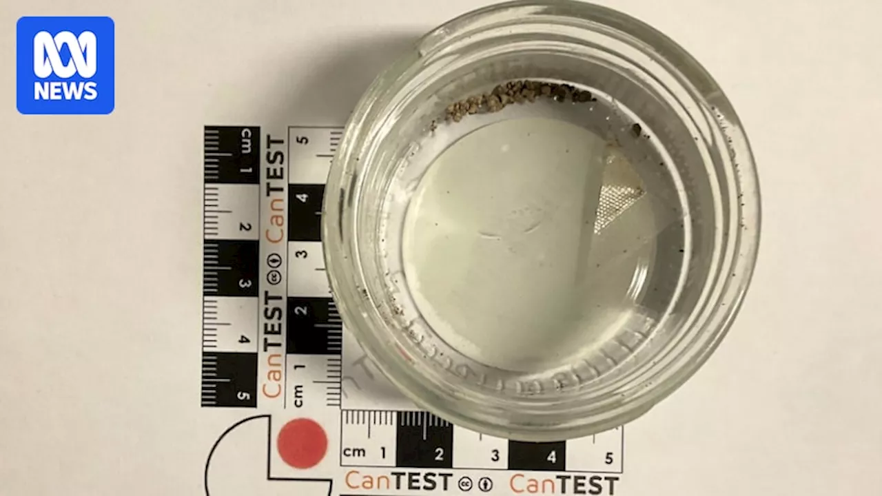 Deadly synthetic opioid fentanyl found in brown powder sample presented for drug testing at CanTEST