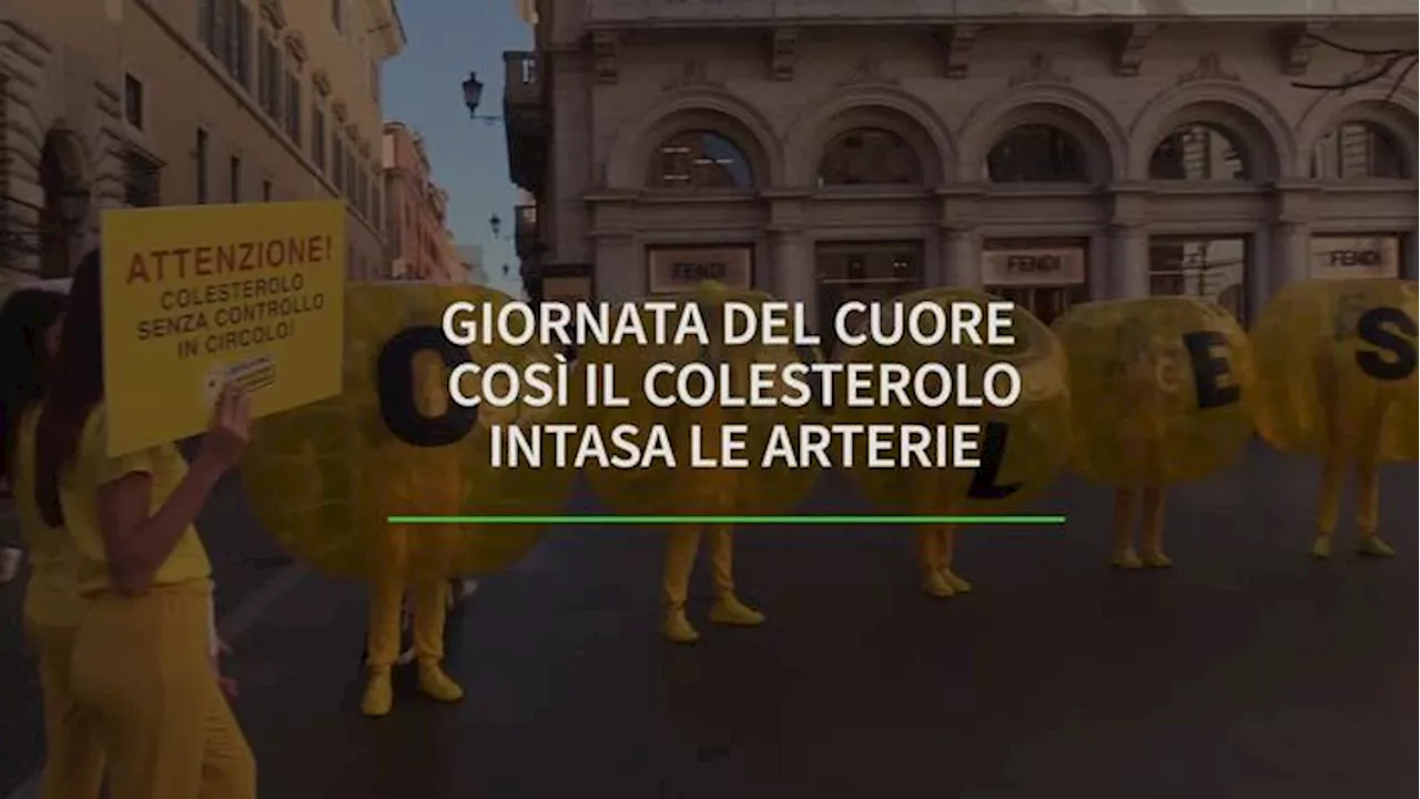 Colesterolo, a Roma uno 'show' per mostrare i danni che fa