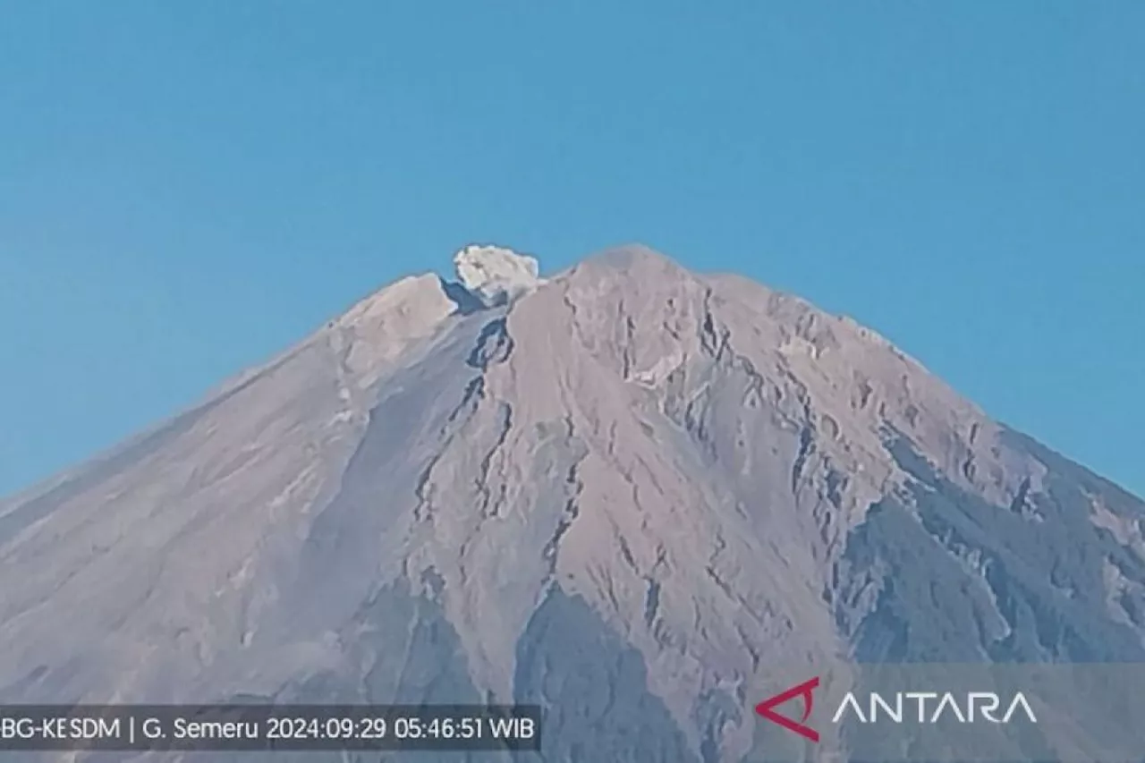 Erupsi Gunung Semeru hingga 500 meter di atas puncak