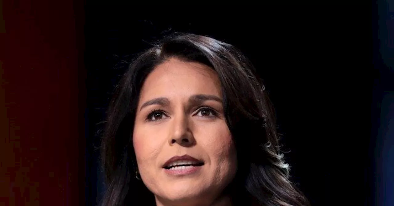 Tulsi Gabbard: Kamala Harris Is ‘Shameless’ for Border Trip ‘Photo Op’