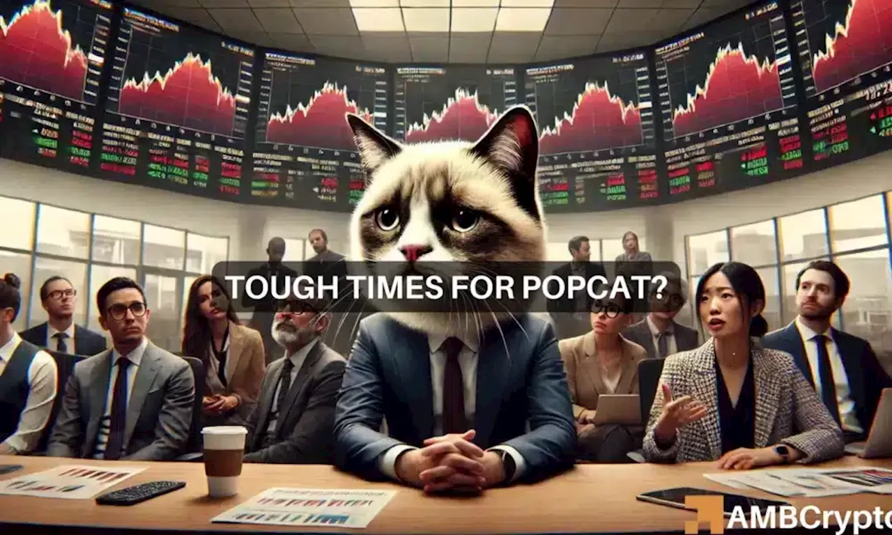 Assessing why POPCAT’s price may be at risk of 15% decline