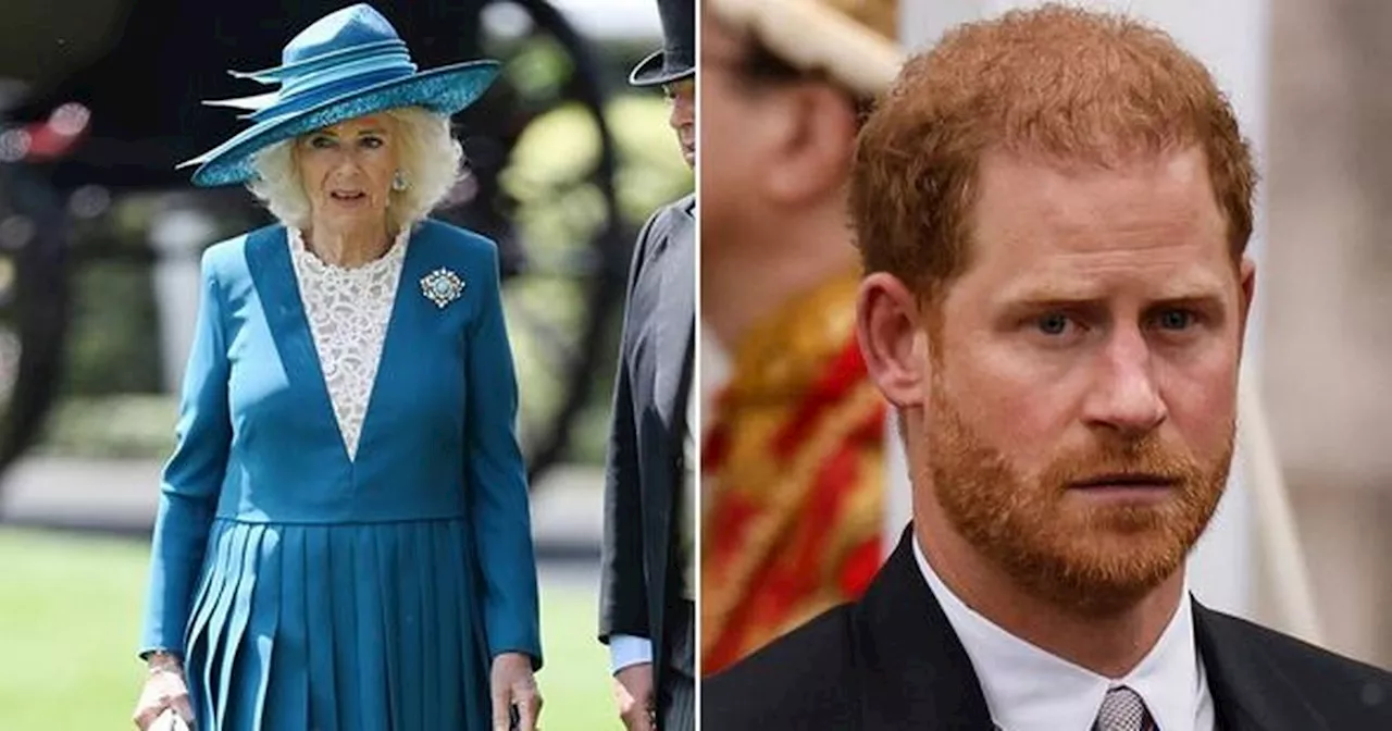 Camilla depicted as Harry's 'wicked stepmother' in 'hugely controversial' C4 doc