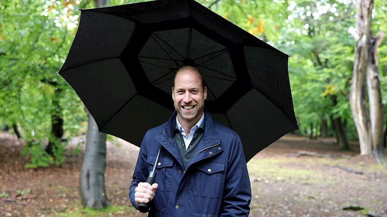 Prince William Teases 'Very Special' Earthshot Prize Project With His Fan-Favourite Beard