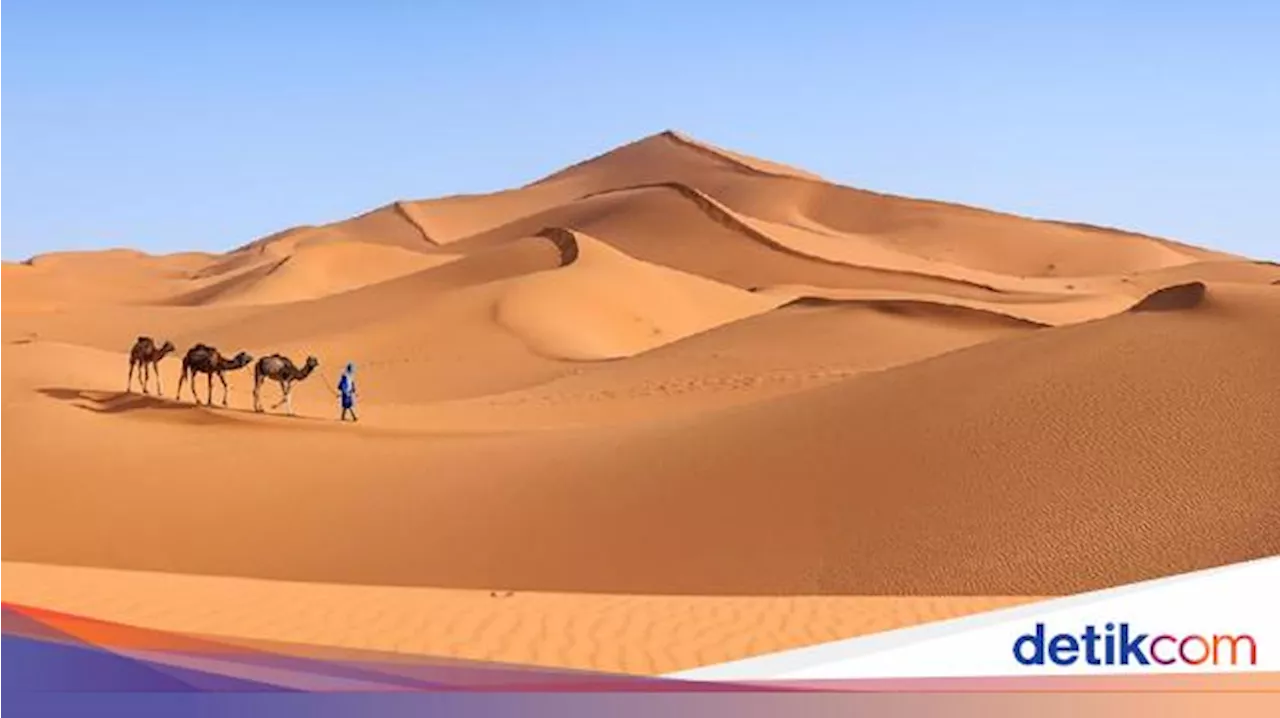 Sahara: Gurun Panas Terbesar Dunia