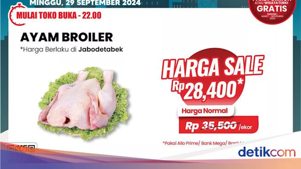 Belanja Sekarang! Ayam Broiler Murah Meriah di Transmart Full Day Sale