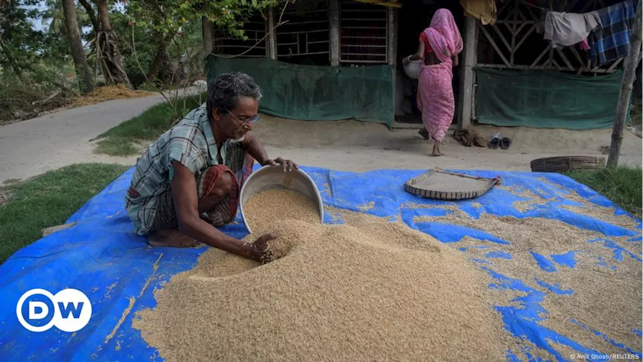 भारत ने गैर-बासमती चावल के निर्यात को दिखाई हरी झंडी