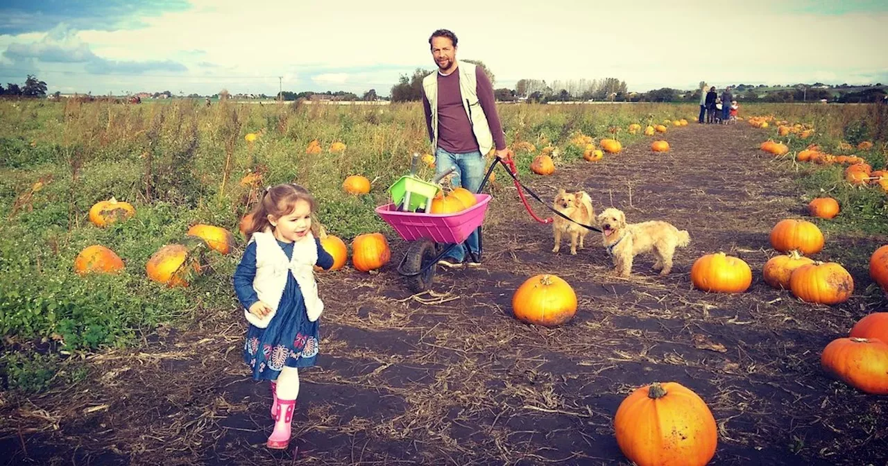 Pumpkin picking Liverpool 2024: Best places in the city and beyond