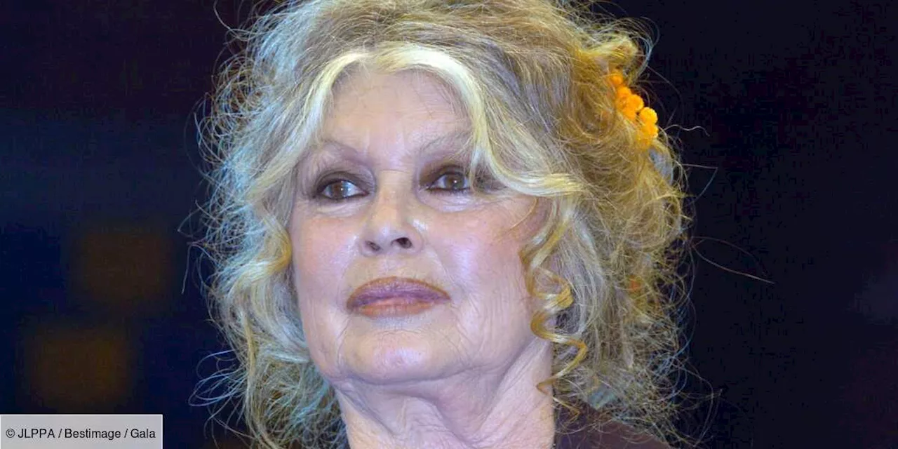 Brigitte Bardot : ces “tonnes” de courriers et cadeaux reçus pour ses 90 ans