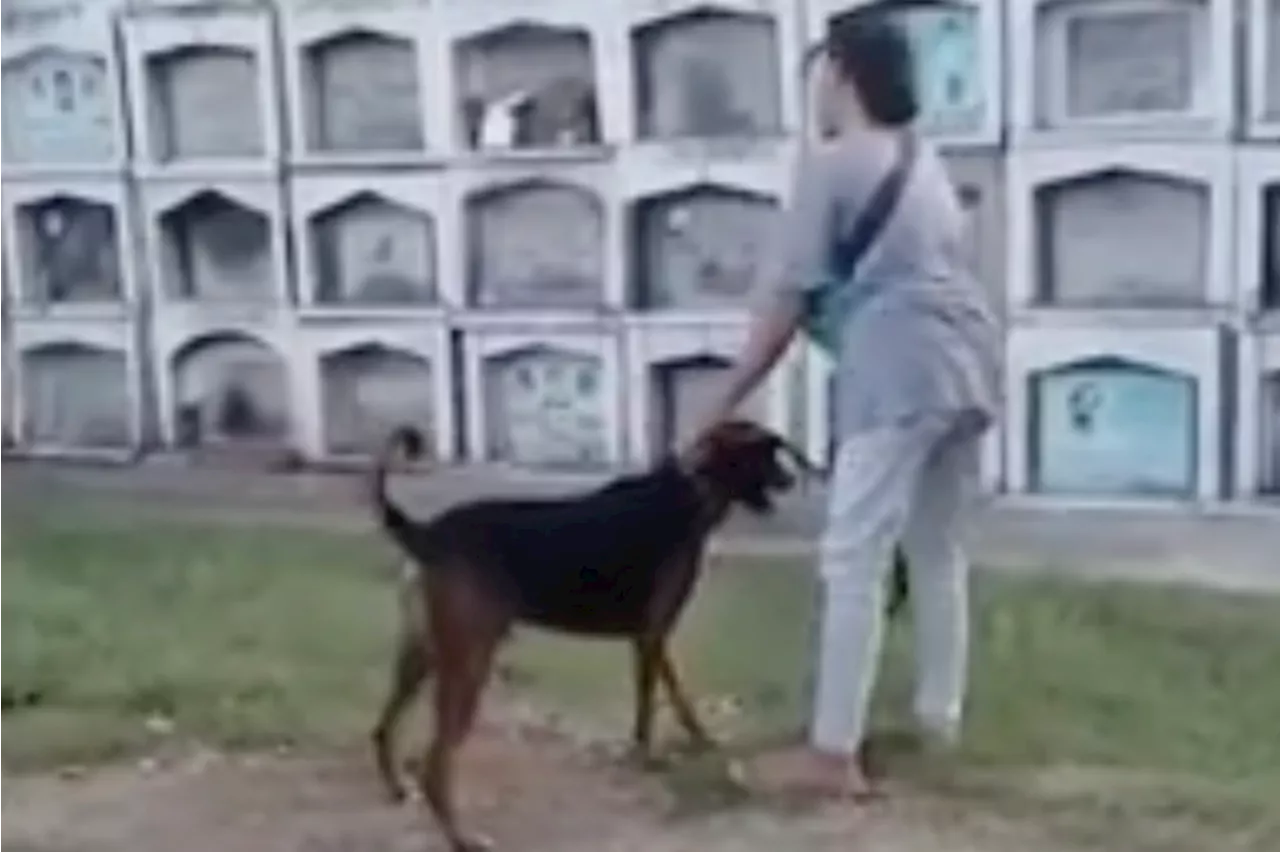 'Spike' visits master's tomb on 1st death anniversary