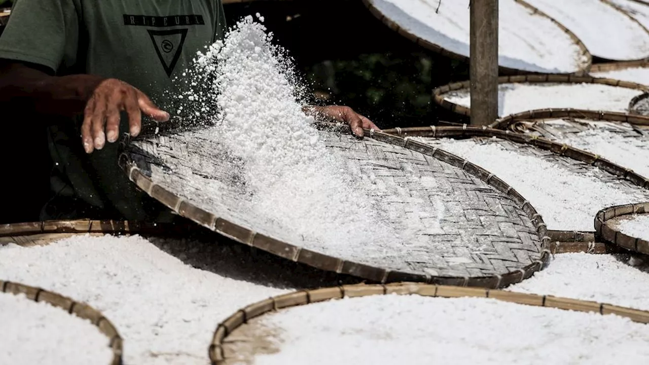 Pemanfaatan Tepung Lokal Menggantikan Tepung Terigu untuk Tingkatkan Ekonomi Nasional