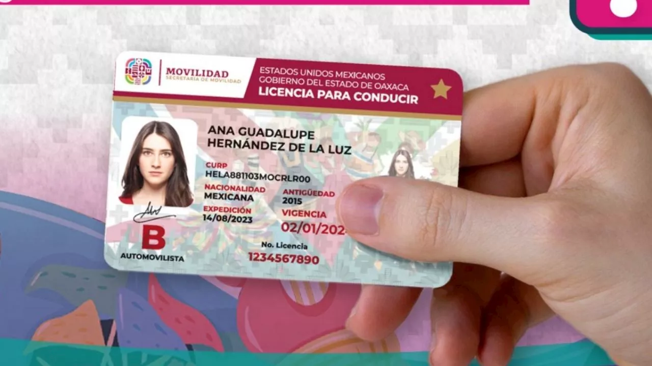 Licencia de conducir: requisitos para obtenerla