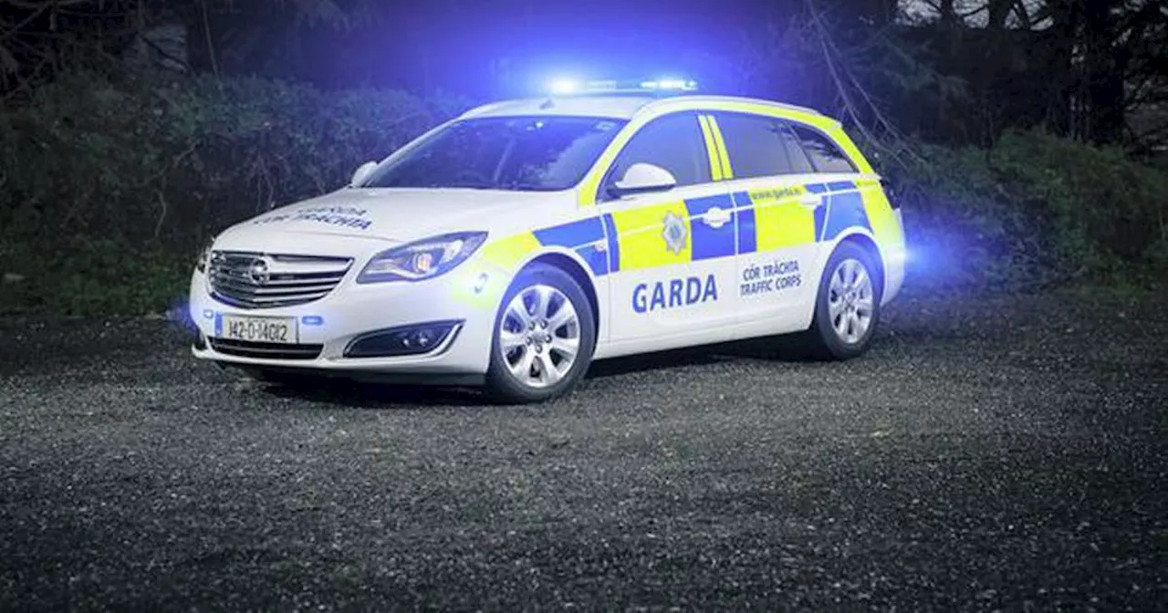 Teen girl escapes stolen car as gardai arrest suspect after cross-border chase