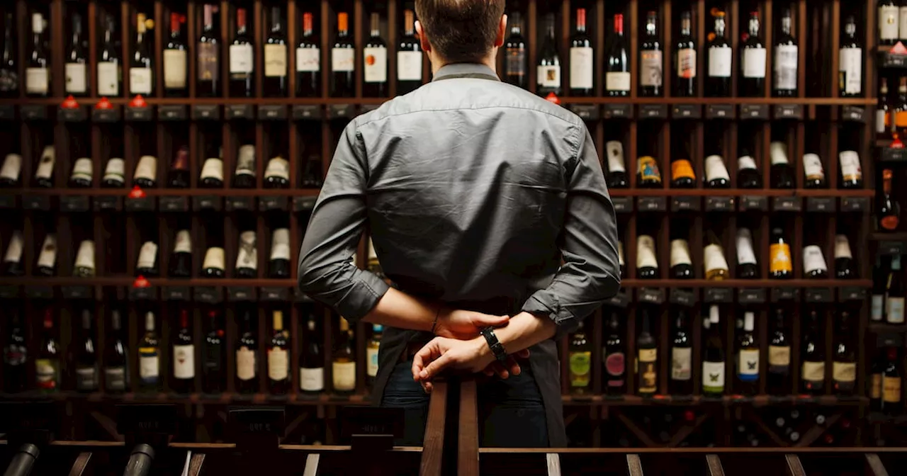 Are expensive wines always better than cheap ones?