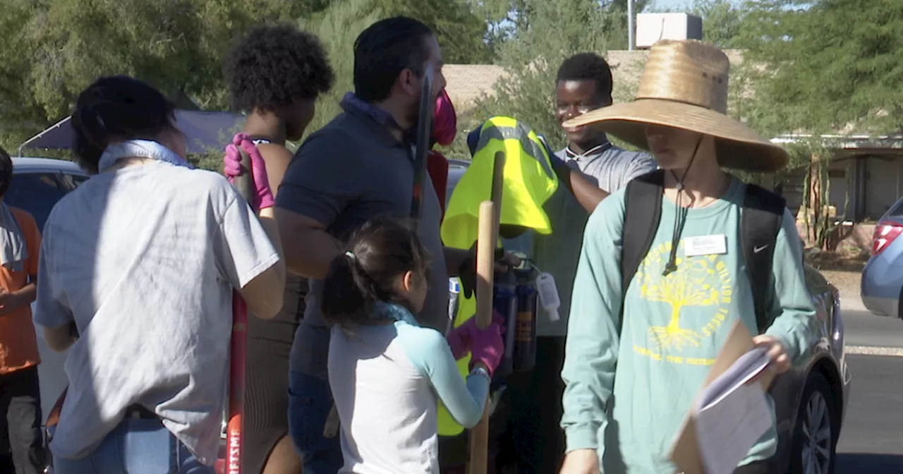 Tucson Clean and Beautiful Plants 98 Trees in Midtown Neighborhoods