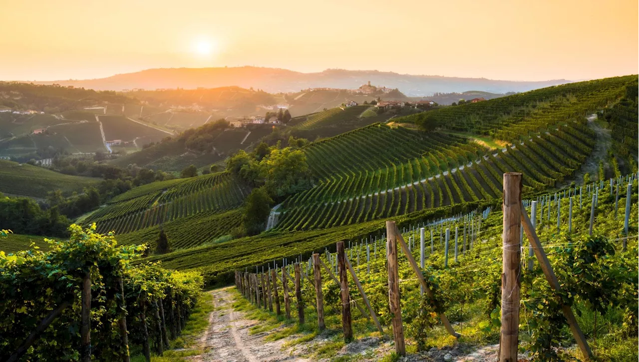 Dopo Duomo e Piola, la famiglia Ceretto fa il tris: “Un wine bar tra le vigne”