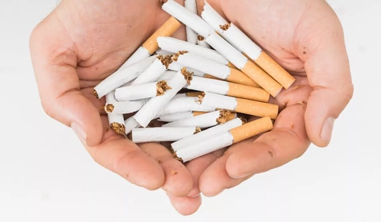 Batalnya Kenaikan Cukai Rokok Dikhawatirkan Picu Peningkatan Penyakit Tidak Menular