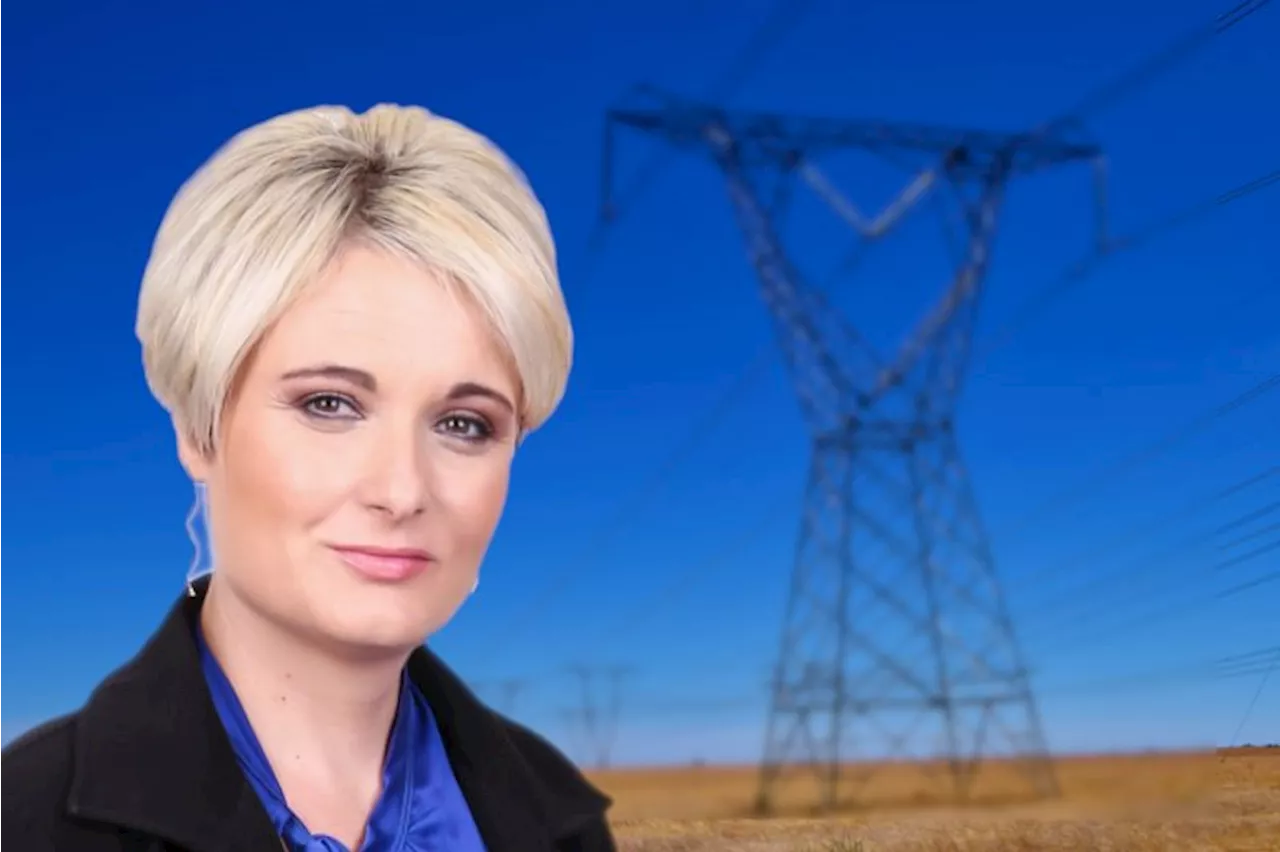 Solar and wind power warning from the woman preventing Eskom grid collapse