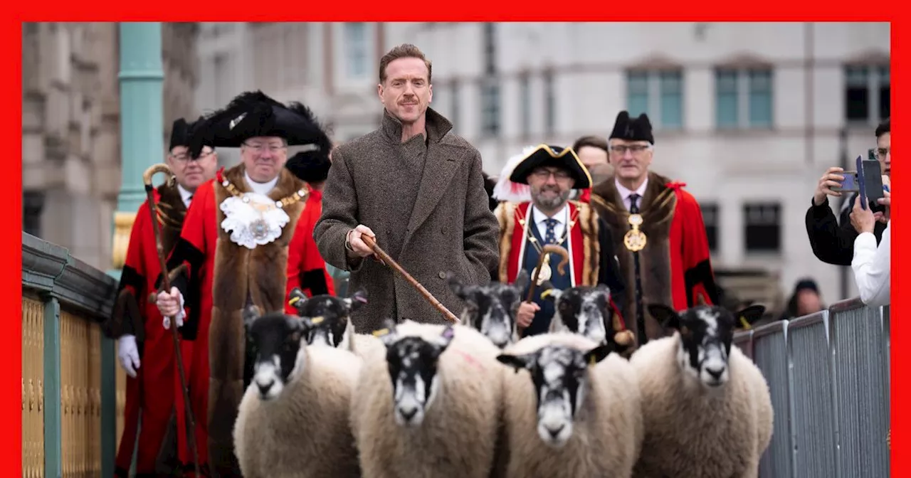 Hollywood's Damian Lewis herds sheep over River Thames in 'eccentric' tradition