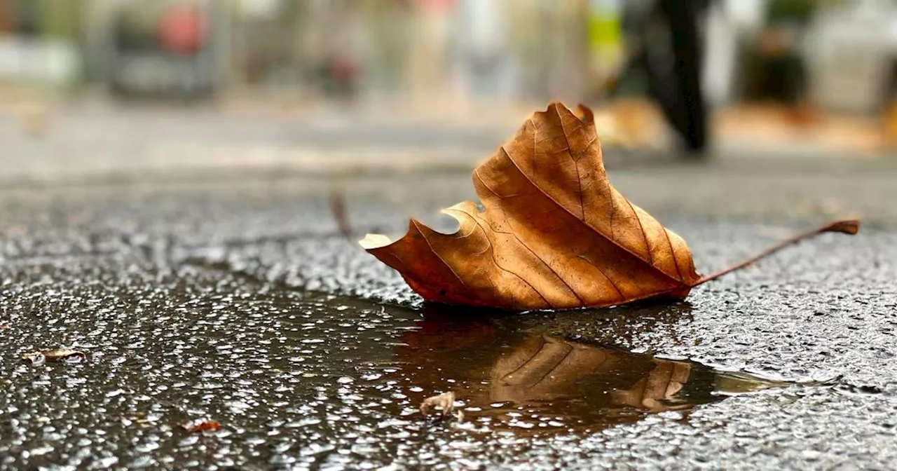 Wetter in NRW am 29. September: So wird der Wochenstadt